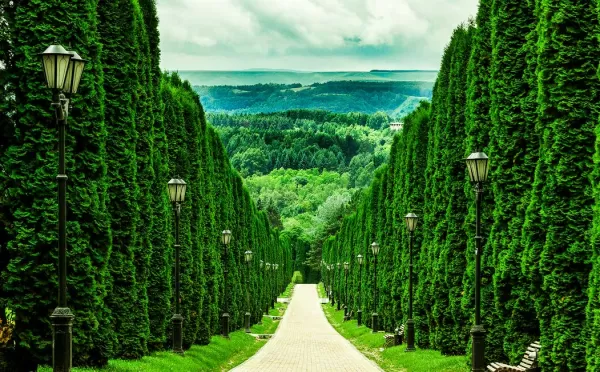 Расположение «Центрального военного санатория» в г. Кисловодске - фотография